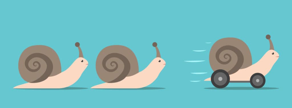 Line of slow snails