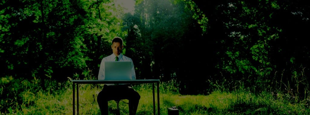 men sitting in desk within a forest of trees