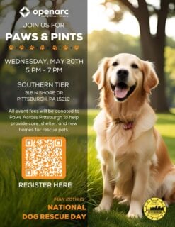 Join us for Paws & Pints 🐾🍻 as we celebrate National Pet Adoption Day!
All proceeds benefit Paws Across Pittsburgh—so grab a drink, meet some pups, and support a great cause.
#PawsAndPints #AdoptDontShop #Pittsburgh