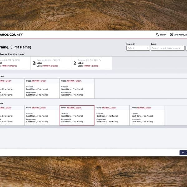 Case Management System
